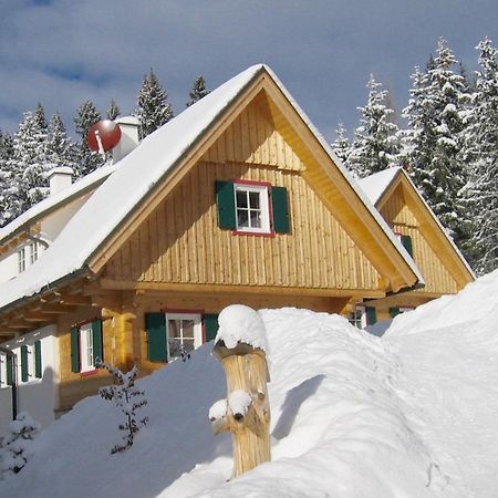 Alpine Cabin Klippitztorl エクステリア 写真