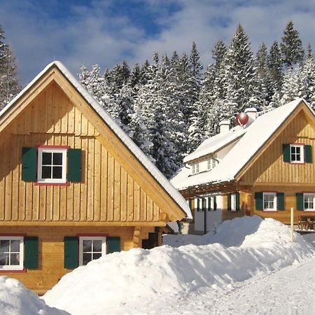 Alpine Cabin Klippitztorl エクステリア 写真