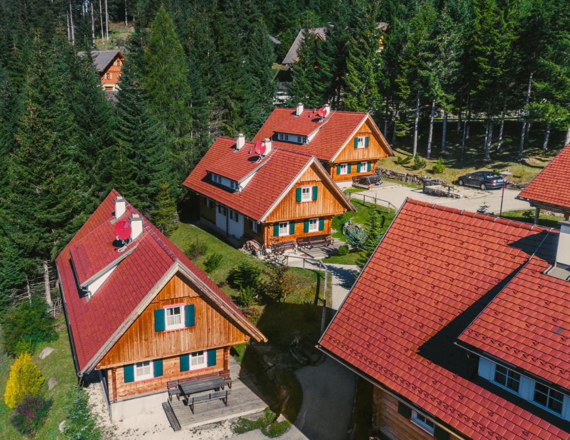 Alpine Cabin Klippitztorl エクステリア 写真