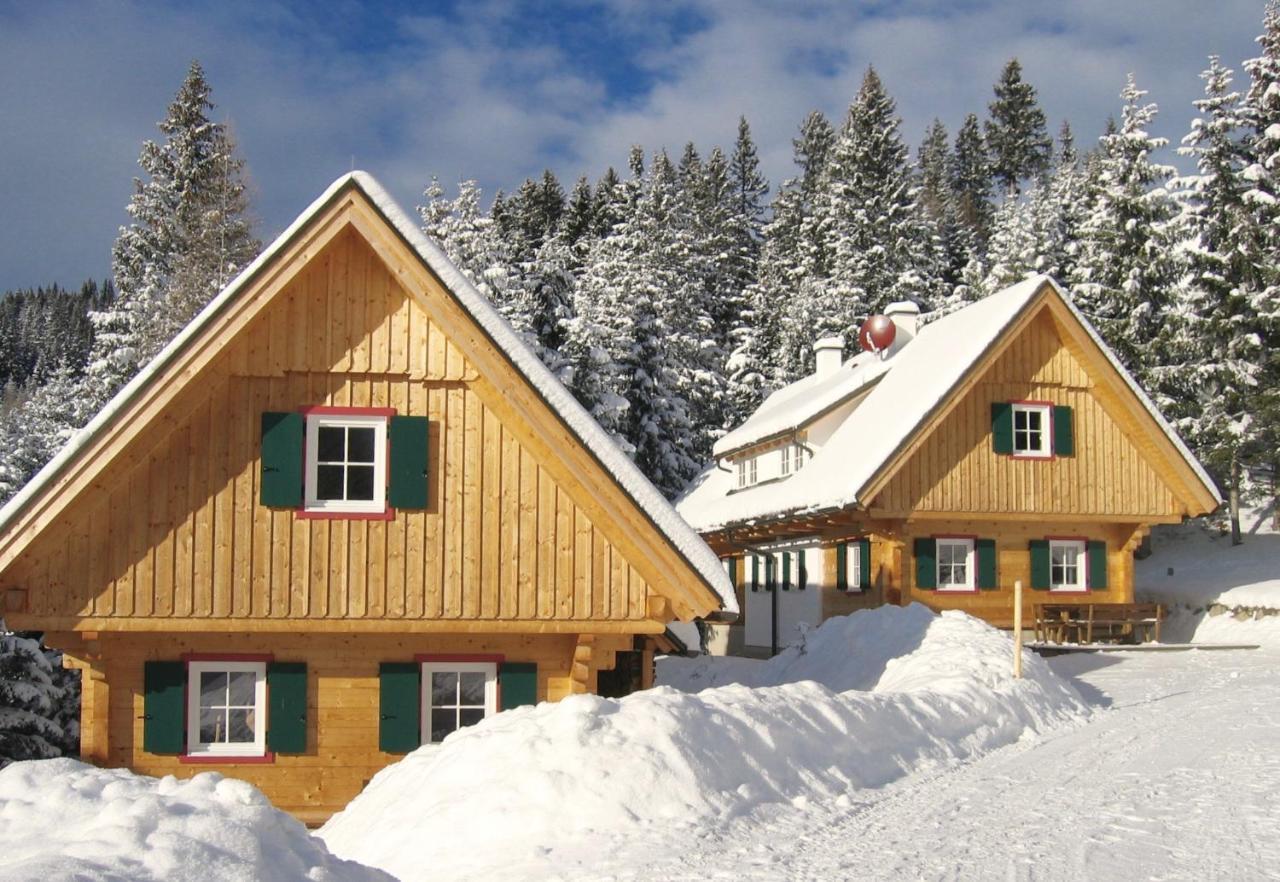 Alpine Cabin Klippitztorl エクステリア 写真
